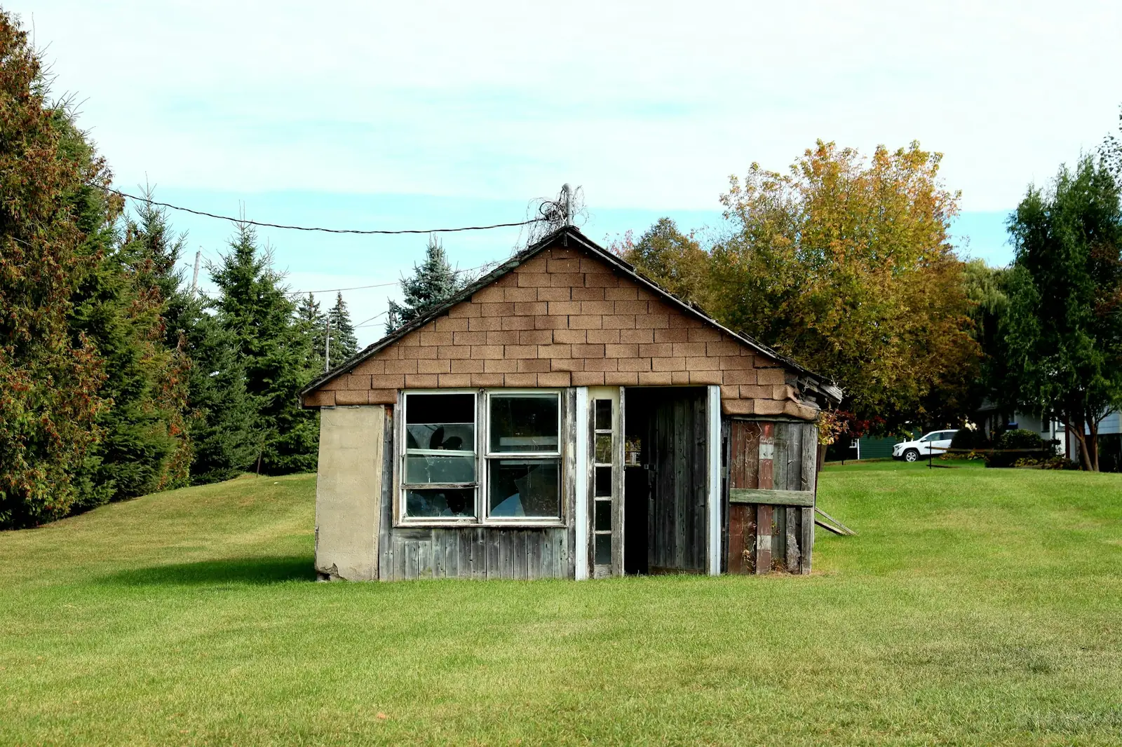 Weathered wooden shed with an open door in a back yard